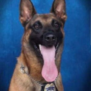 Meet your Posher, Jeffrey